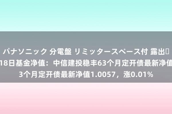 パナソニック 分電盤 リミッタースペース付 露出・半埋込両用形 10月18日基金净值：中信建投稳丰63个月定开债最新净值1.0057，涨0.01%