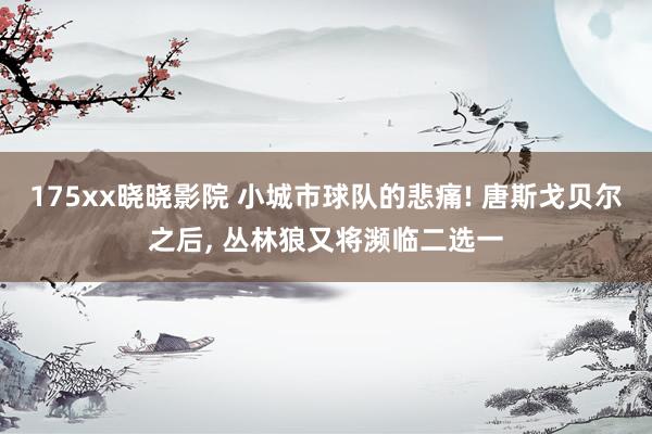 175xx晓晓影院 小城市球队的悲痛! 唐斯戈贝尔之后, 丛林狼又将濒临二选一