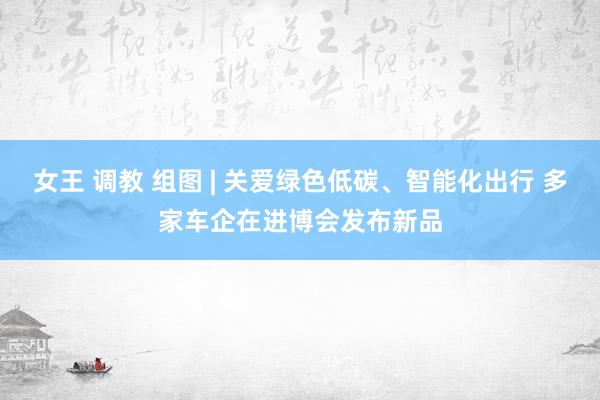 女王 调教 组图 | 关爱绿色低碳、智能化出行 多家车企在进博会发布新品