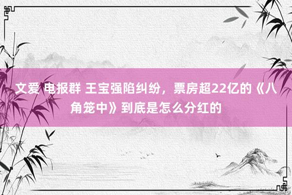 文爱 电报群 王宝强陷纠纷，票房超22亿的《八角笼中》到底是怎么分红的
