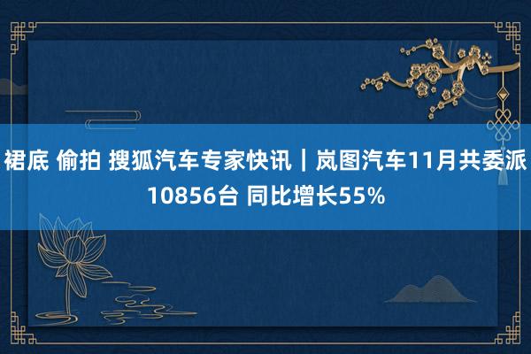 裙底 偷拍 搜狐汽车专家快讯｜岚图汽车11月共委派10856台 同比增长55%
