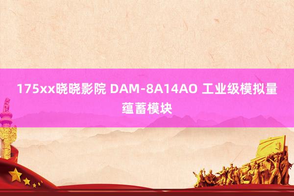 175xx晓晓影院 DAM-8A14AO 工业级模拟量蕴蓄模块