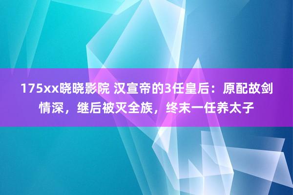 175xx晓晓影院 汉宣帝的3任皇后：原配故剑情深，继后被灭全族，终末一任养太子
