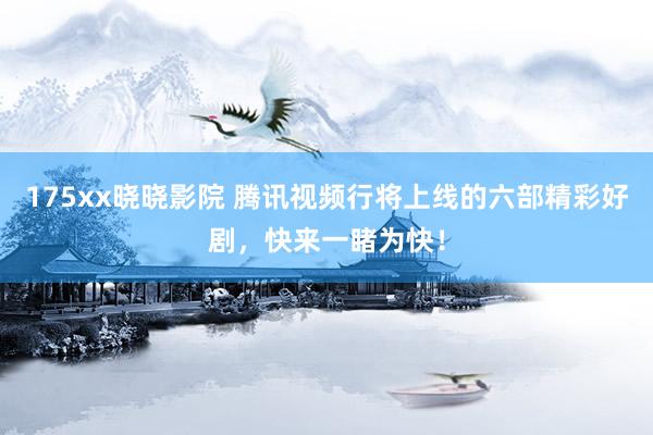 175xx晓晓影院 腾讯视频行将上线的六部精彩好剧，快来一睹为快！