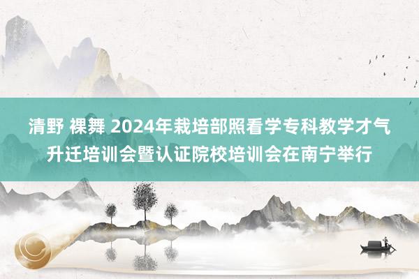 清野 裸舞 2024年栽培部照看学专科教学才气升迁培训会暨认证院校培训会在南宁举行