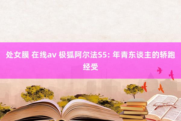 处女膜 在线av 极狐阿尔法S5: 年青东谈主的轿跑经受