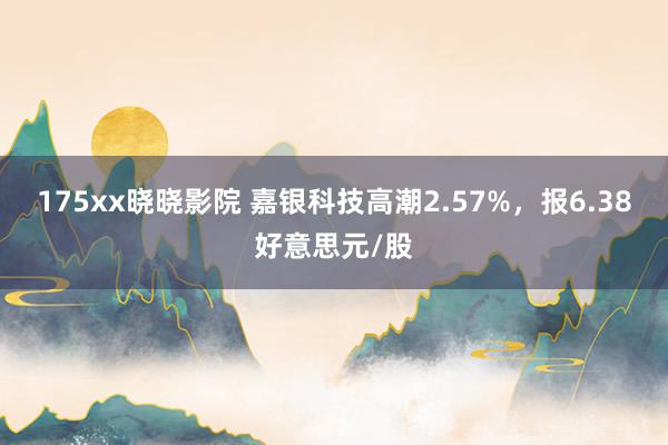 175xx晓晓影院 嘉银科技高潮2.57%，报6.38好意思元/股