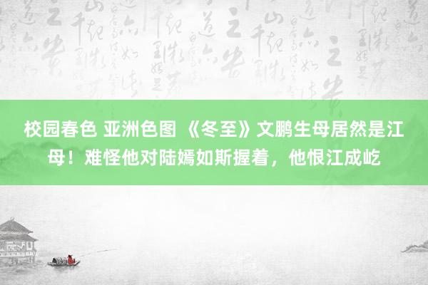 校园春色 亚洲色图 《冬至》文鹏生母居然是江母！难怪他对陆嫣如斯握着，他恨江成屹