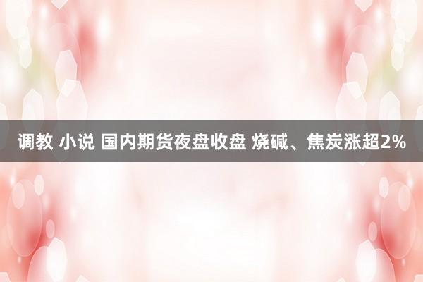 调教 小说 国内期货夜盘收盘 烧碱、焦炭涨超2%