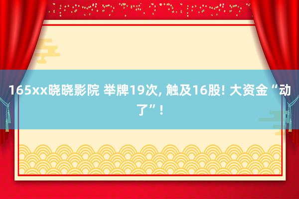 165xx晓晓影院 举牌19次， 触及16股! 大资金“动了”!