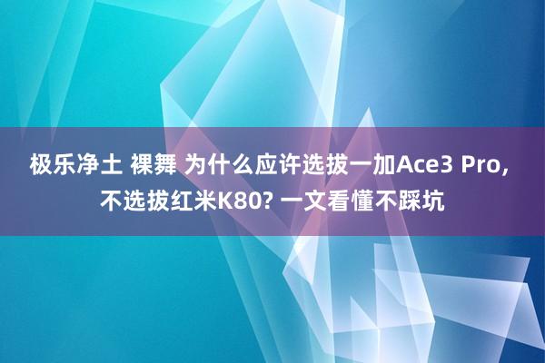 极乐净土 裸舞 为什么应许选拔一加Ace3 Pro， 不选拔红米K80? 一文看懂不踩坑