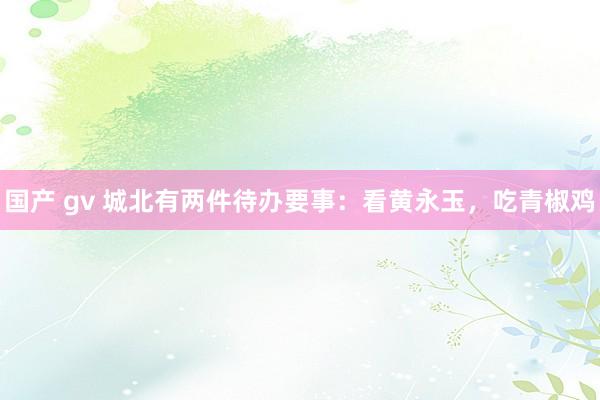 国产 gv 城北有两件待办要事：看黄永玉，吃青椒鸡