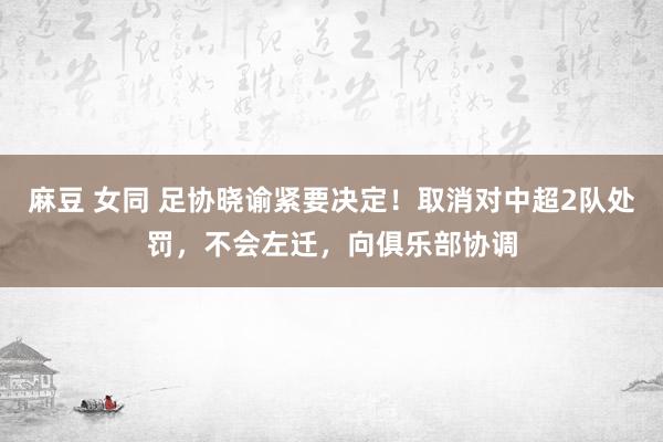 麻豆 女同 足协晓谕紧要决定！取消对中超2队处罚，不会左迁，向俱乐部协调