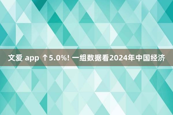 文爱 app ↑5.0%! 一组数据看2024年中国经济