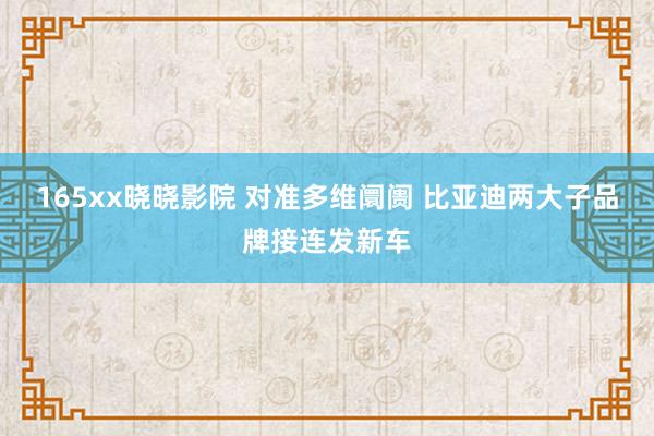 165xx晓晓影院 对准多维阛阓 比亚迪两大子品牌接连发新车