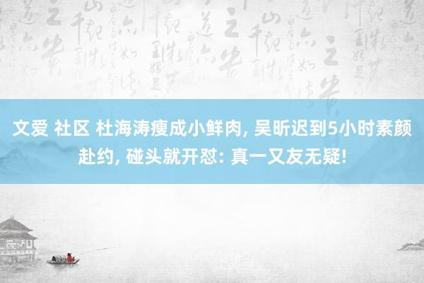 文爱 社区 杜海涛瘦成小鲜肉, 吴昕迟到5小时素颜赴约, 碰头就开怼: 真一又友无疑!