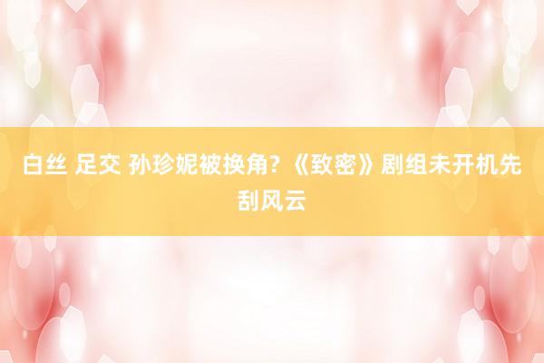 白丝 足交 孙珍妮被换角? 《致密》剧组未开机先刮风云