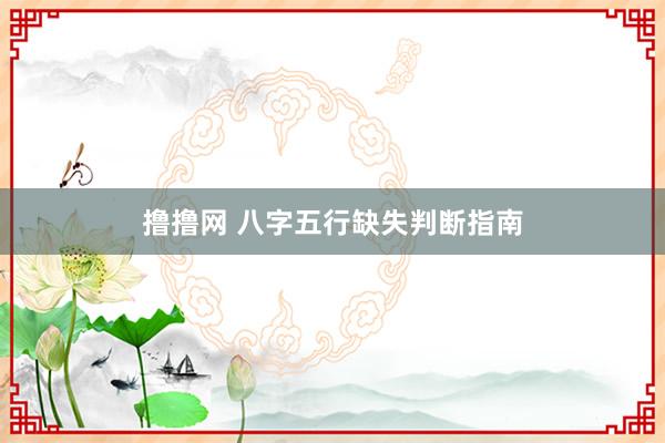 撸撸网 八字五行缺失判断指南