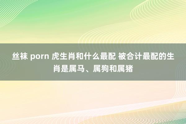 丝袜 porn 虎生肖和什么最配 被合计最配的生肖是属马、属狗和属猪