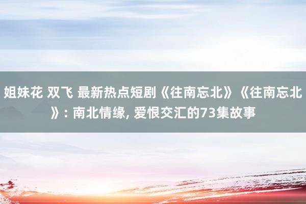 姐妹花 双飞 最新热点短剧《往南忘北》《往南忘北》: 南北情缘， 爱恨交汇的73集故事