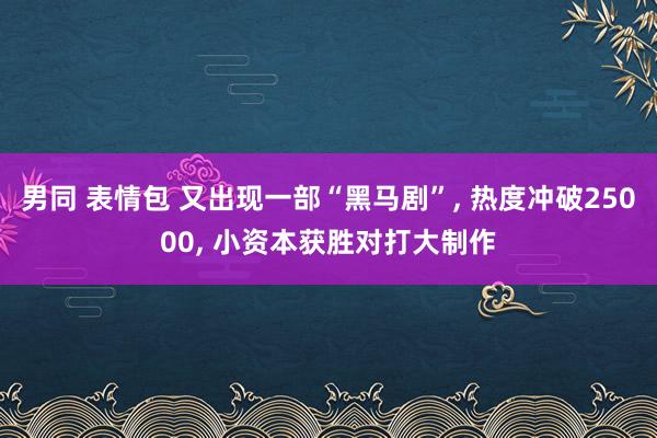男同 表情包 又出现一部“黑马剧”， 热度冲破25000， 小资本获胜对打大制作